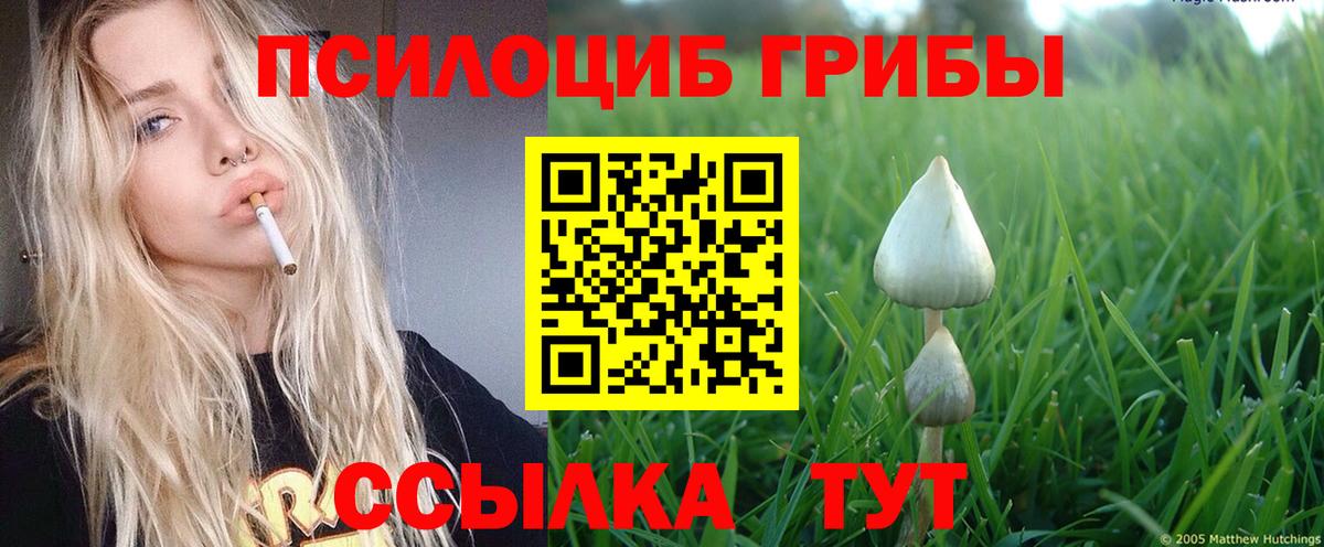 Псилоцибиновые грибы мухоморы Асбест