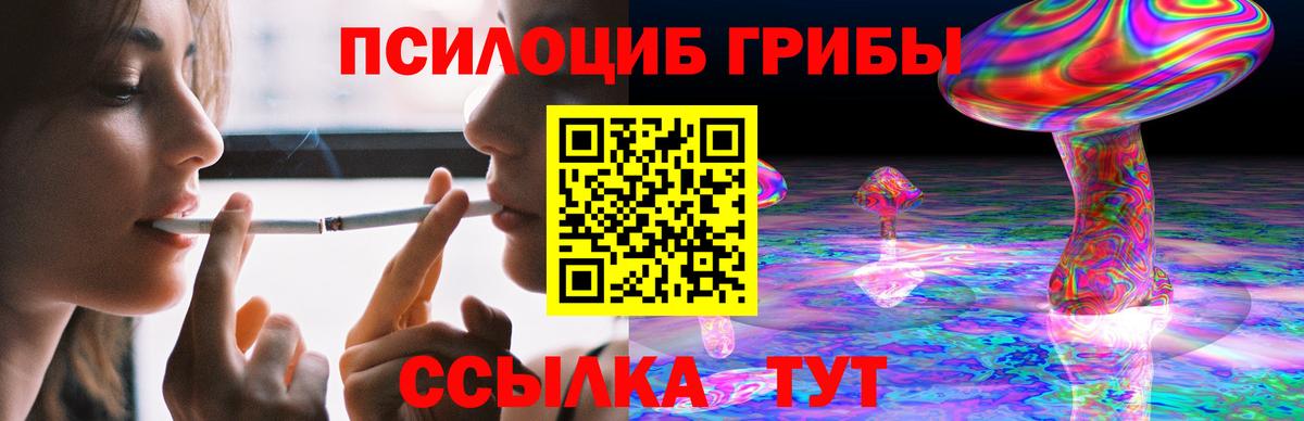 Асбест  купить закладку  Вход с VPN  Псилоцибиновые грибы ЛСД  Псилоцибиновые грибы мицелий 